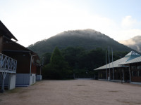 IMG_0778[1]