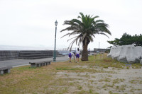 DSC00331