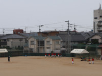 IMG_25251