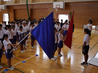IMG_3734
